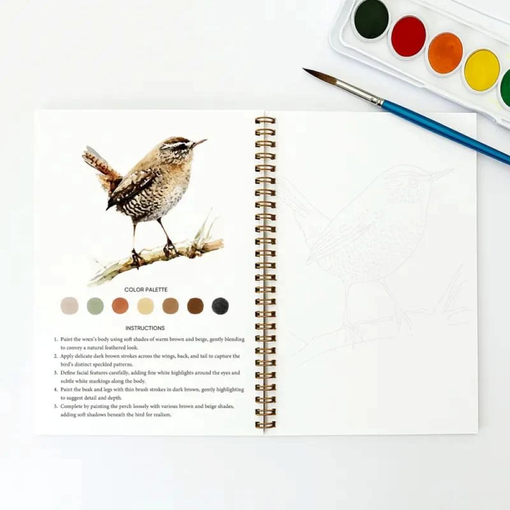 🖼️Beginner-Friendly - Watercolor Workbook