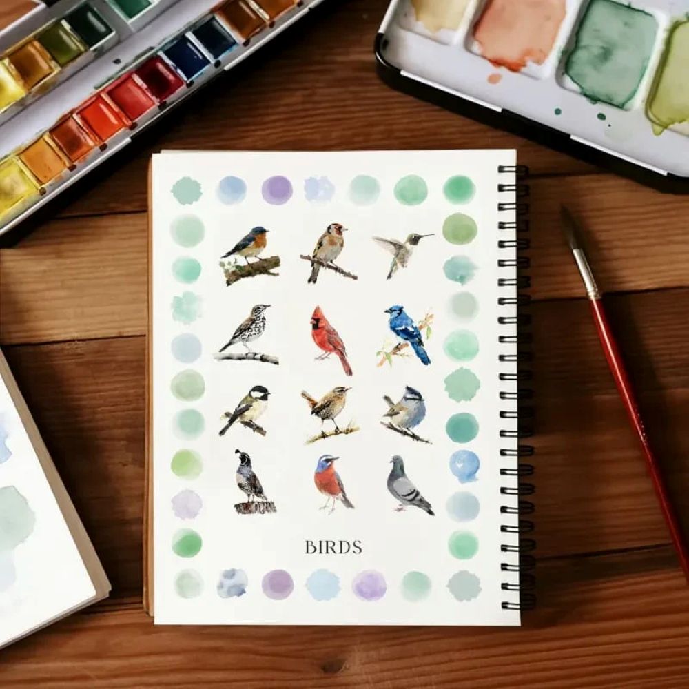🖼️Beginner-Friendly - Watercolor Workbook